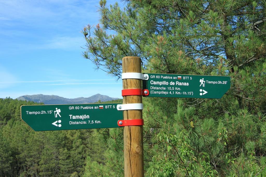 קמפיו דה ראנאס Casa Rural El Abejaruco (Adults Only) מראה חיצוני תמונה