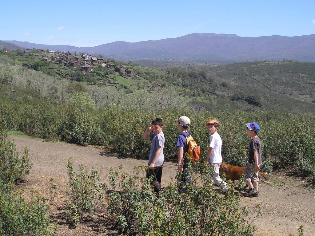 קמפיו דה ראנאס Casa Rural El Abejaruco (Adults Only) מראה חיצוני תמונה